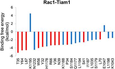 Computational Prediction of Hot Spots and Binding Site of Inhibitor NSC23766 on Rac1 Binding With Tiam1